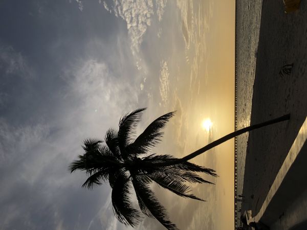 foto:Antonio Arriaga  Cardona - lo hecho en México