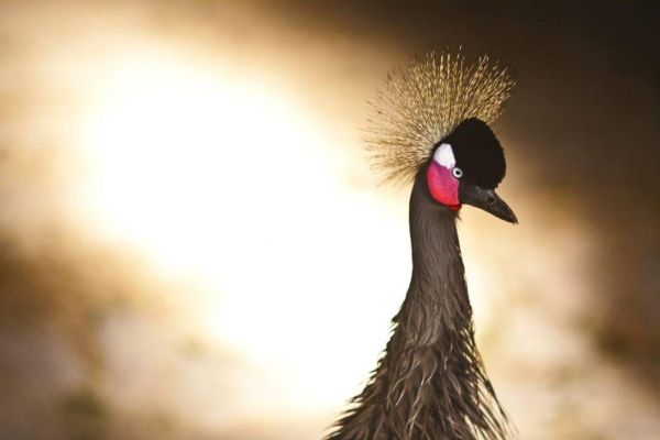 foto:Samy de la Portilla Gutierrez - lo hecho en México