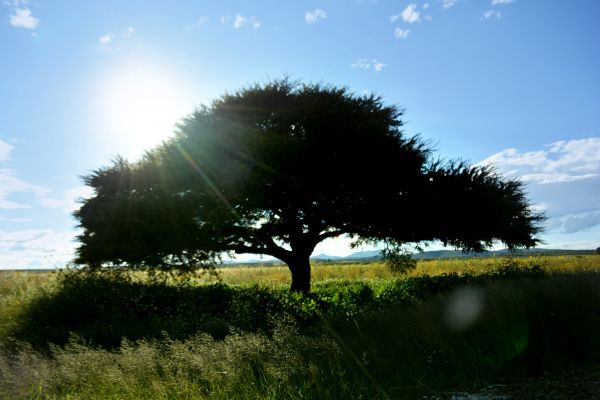 foto:Imelda Christ Alejandra Gomez Quiñones - lo hecho en México