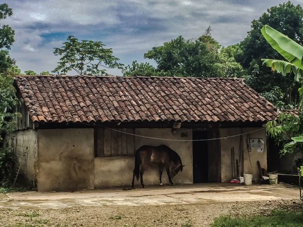 foto:Jacob Morales  Lopez Olay  - lo hecho en México