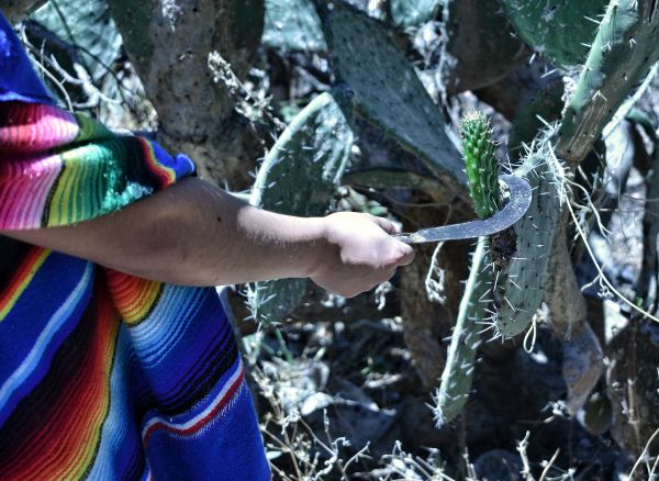 foto:Viridiana Arleth Rodriguez Pérez - lo hecho en México