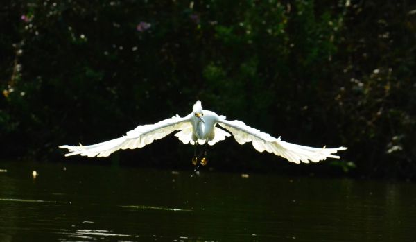 foto:Montserrat Paz Landa - lo hecho en México
