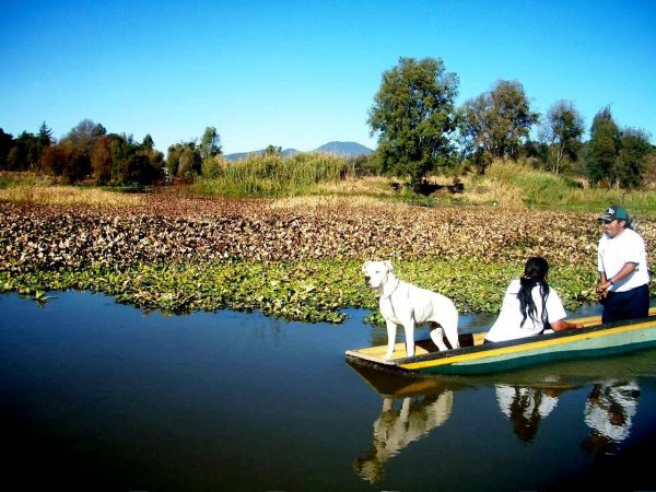 foto:Jesús  Torres  Arias - lo hecho en México