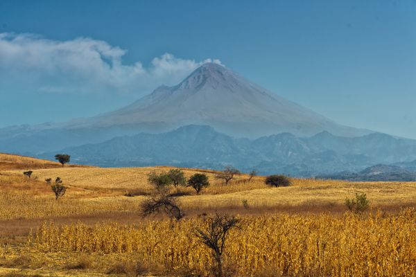 foto:Alfonso Gómez  Sánchez - lo hecho en México