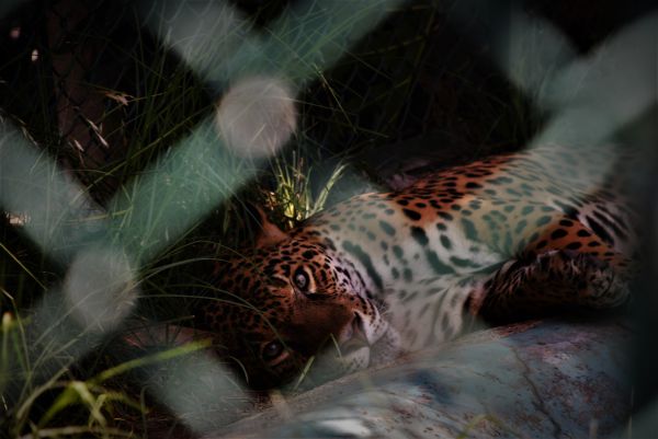 foto:Vanessa Viridiana Gonzalez  Estrada - lo hecho en México