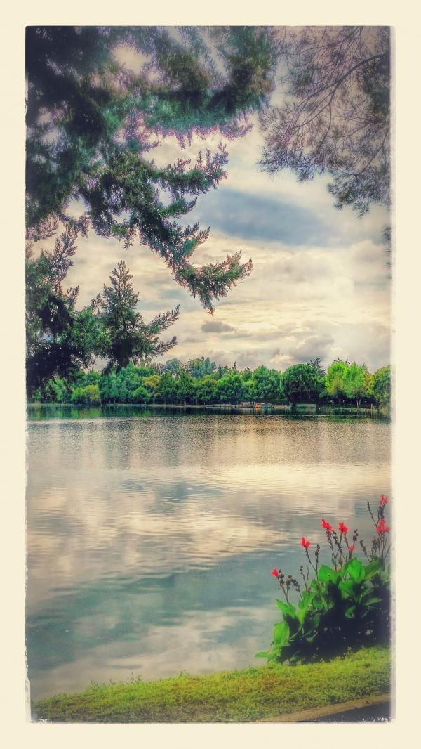 foto:Evelia  López  Martínez  - lo hecho en México