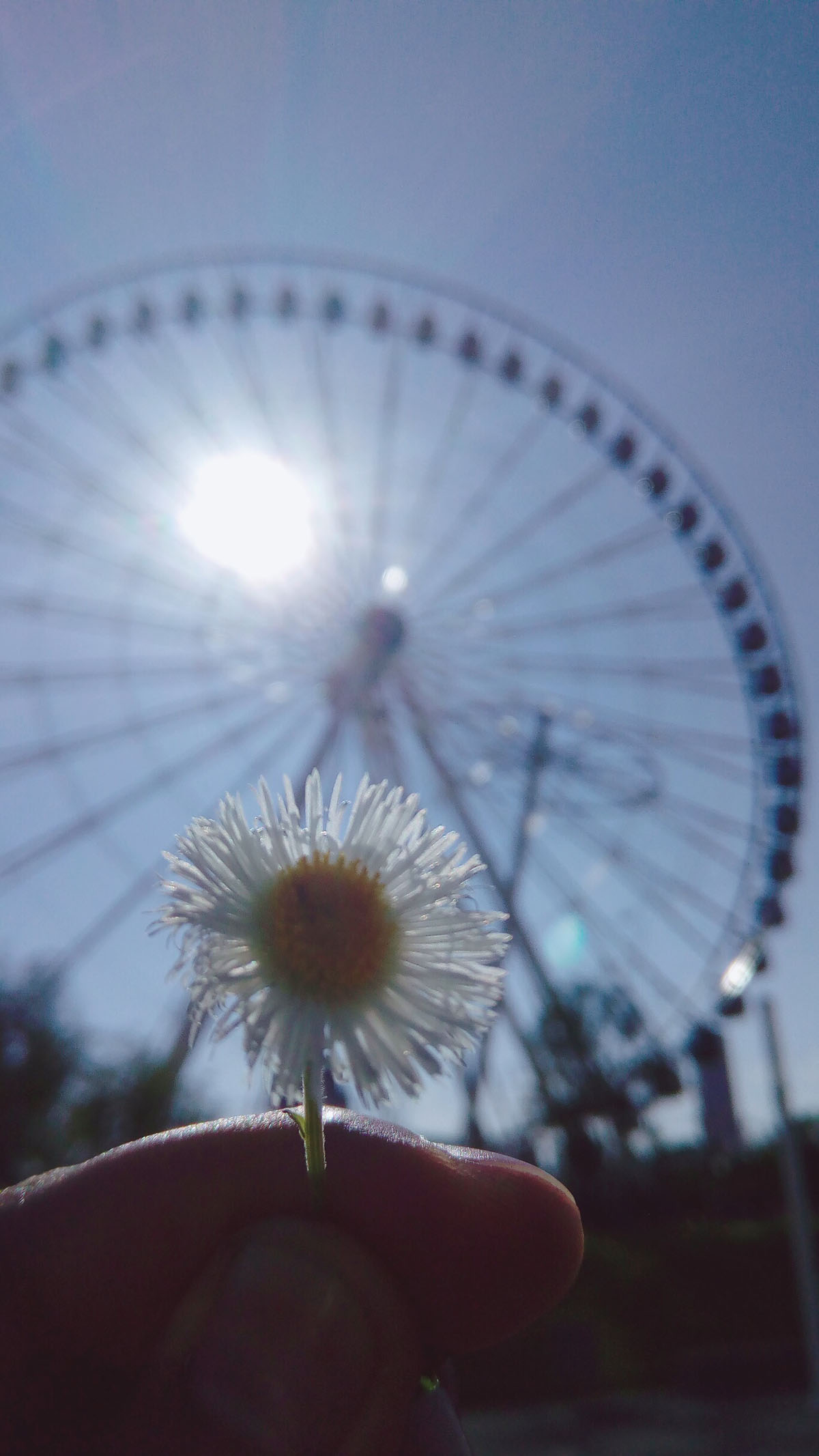 foto:Alfonso Jimenez Fernandez - lo hecho en México
