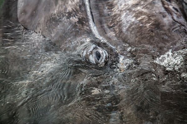 foto:BENITO  SANCHEZ  ROJO - lo hecho en México