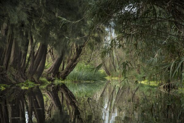 foto:CONNIE SOTELO REGIL ROMBOLD - lo hecho en México