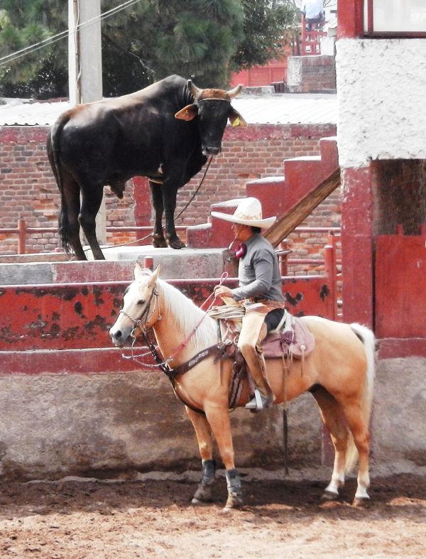 foto:Oscar Manuel Avila  Casco - lo hecho en México