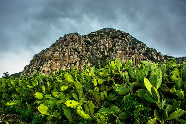 foto:Bladimir  Castelán  De la Cruz - lo hecho en México