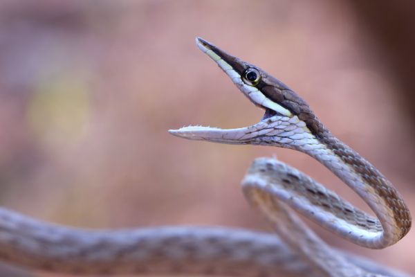 foto:Miguel Ángel López Cuéllar - lo hecho en México