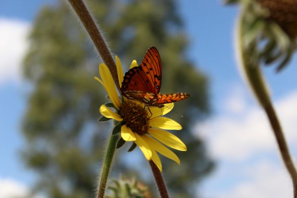 foto:Giulianna Pizano Soto - lo hecho en México