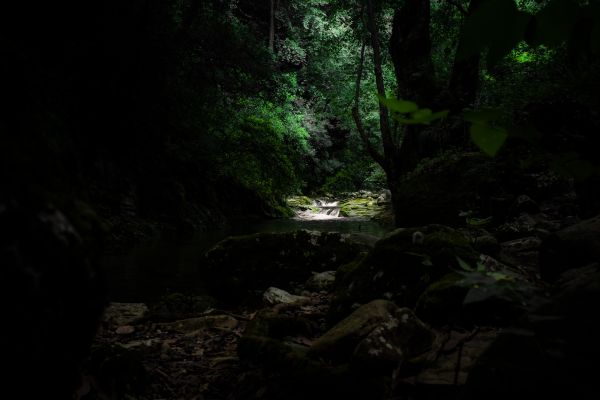 foto:emanuel  cortes ramos  - lo hecho en México
