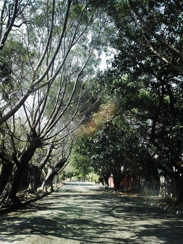 foto:Lorena Osorio Morales - lo hecho en México