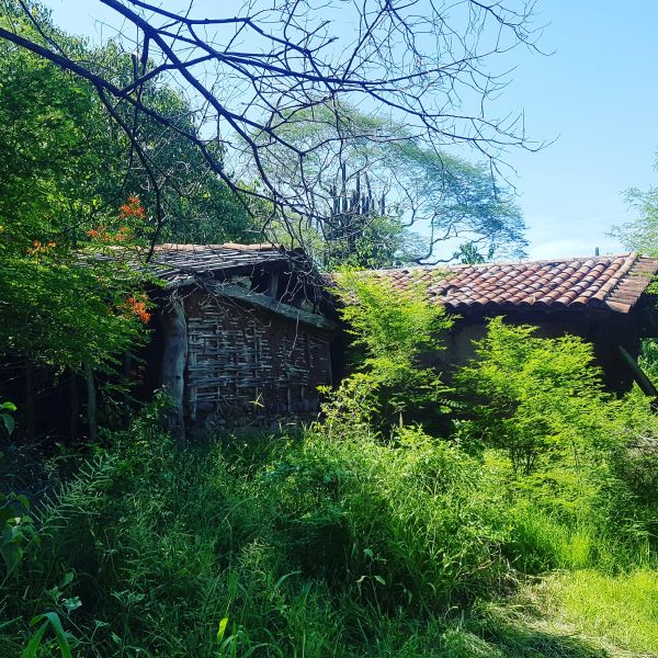 foto:Said Enrique  Negrete  Eriza - lo hecho en México