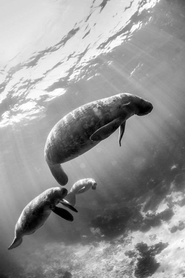 foto:carlos Rico Martinez - lo hecho en México