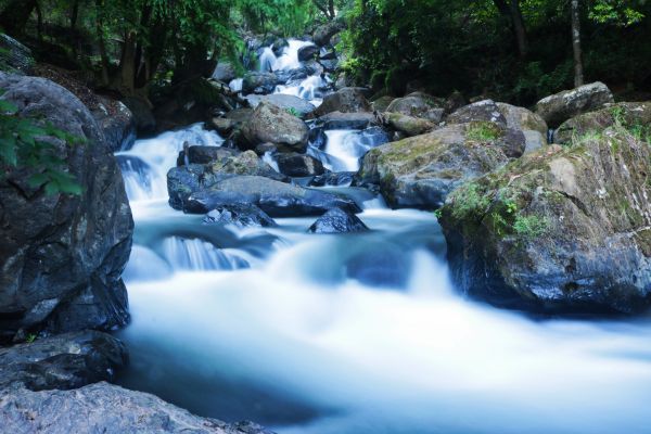 foto:Santiago Guerra Murguia - lo hecho en México