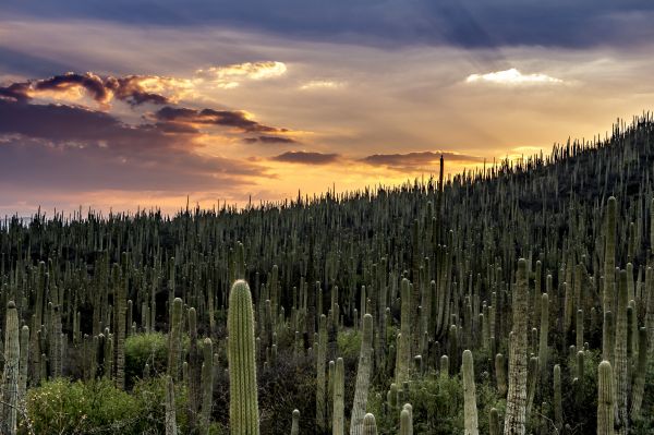 foto:Fabiola Marina Sáenz Cózar - lo hecho en México