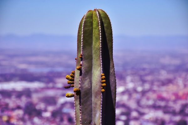 foto:Nayeli Marlén  Meza  Borraz - lo hecho en México