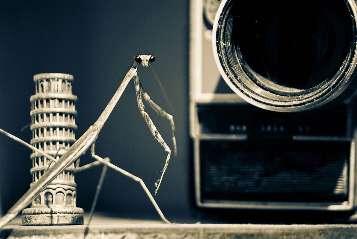 foto:Alejandra Barradas Tovar - lo hecho en México