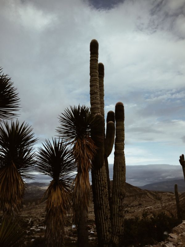 foto:Edgar Honorio Hernández Barragán - lo hecho en México