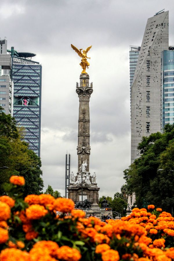 foto:María Inés  Cruz Martinez - lo hecho en México