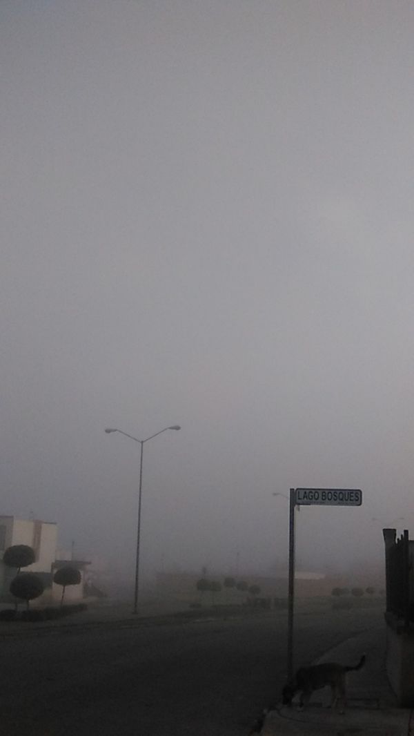 foto:Claudia Gabriela Jurado Valadez - lo hecho en México