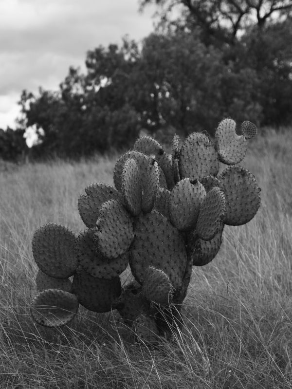 foto:Brenda Álvarez Morales - lo hecho en México