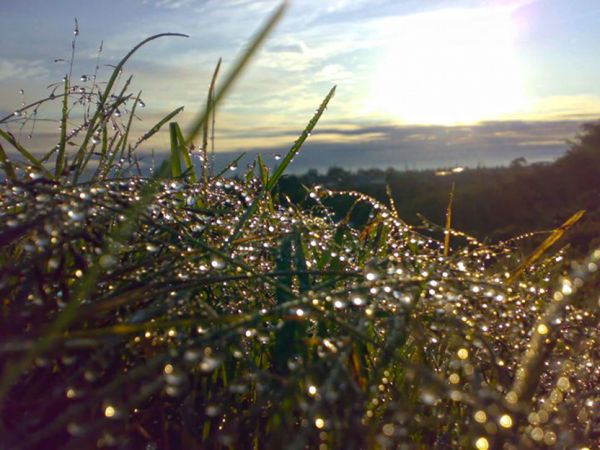 foto:Miguel Ángel San Martín Cruz - lo hecho en México