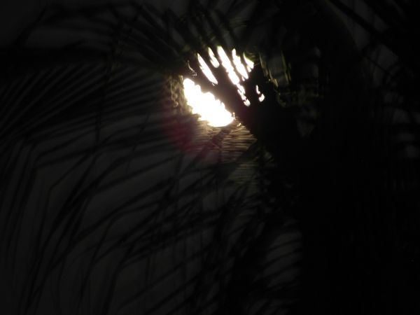 foto:maria isabel CANTO  ROSADO - lo hecho en México