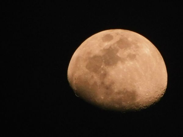 foto:maria isabel CANTO  ROSADO - lo hecho en México
