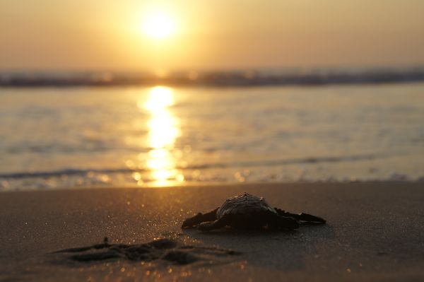 foto:Andrea Medina Padilla - lo hecho en México