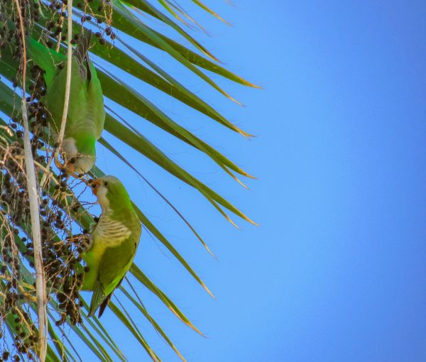 foto:Lilibeth  Navarrete  Rosas - lo hecho en México