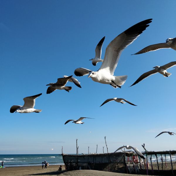 foto:Jorge Emilio Álvarez Maya - lo hecho en México