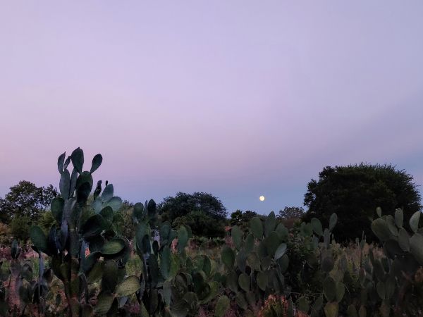 foto:Dafne Arydai Tosca Pérez - lo hecho en México