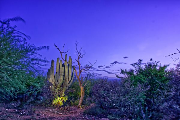 foto:Ricardo Ariel Sandoval Aragón - lo hecho en México