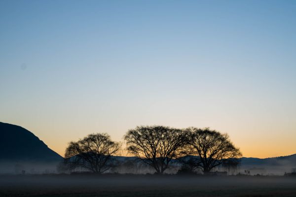 foto:Marco Enciso  Tavera - lo hecho en México