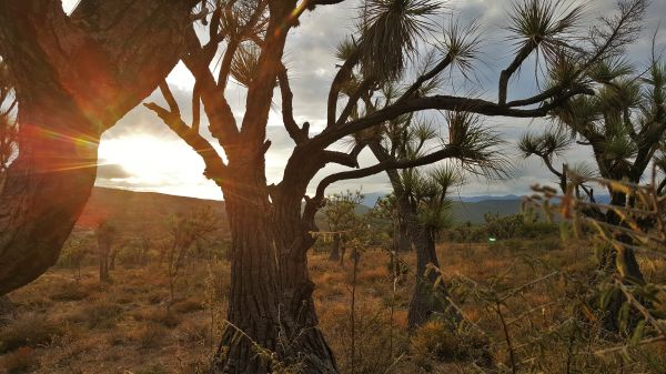 foto:Juan Carlos Hernandez Pacheco - lo hecho en México