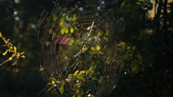 foto:Ramiro Adrian  De La Fuente Fuentes - lo hecho en México