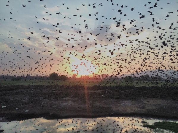 foto:Jose Daniel  Cossio  Tenorio  - lo hecho en México