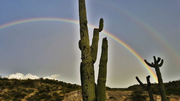 foto:Juan Hernandez Pacheco - lo hecho en México