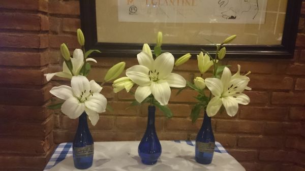 foto:Maria del Carmen Hernández Juárez - lo hecho en México