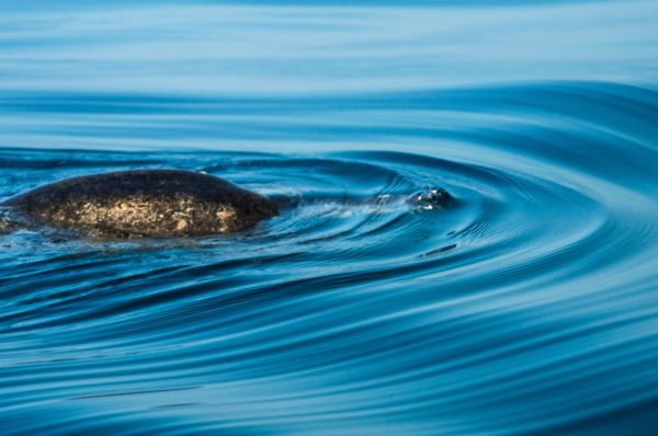 foto:Claudia Ortega Ustarroz - lo hecho en México