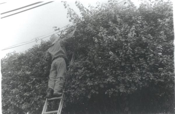 foto:graciela peña herrera - lo hecho en México