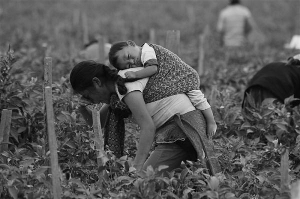 foto:Francisco Arturo Gomez Castanon - lo hecho en México