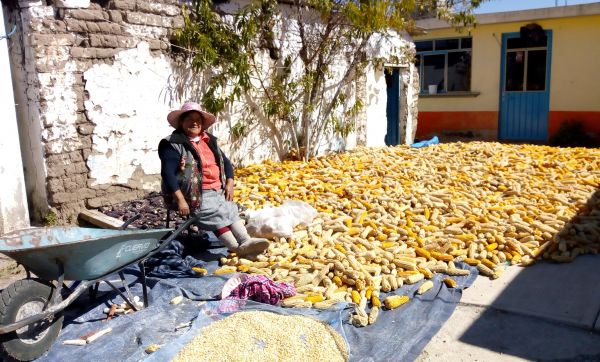 foto:Alma Lidia Moya Segura - lo hecho en México