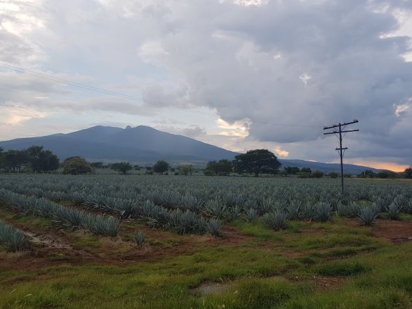 foto:LETICIA  ZERMEÑO  BRISEÑO  - lo hecho en México