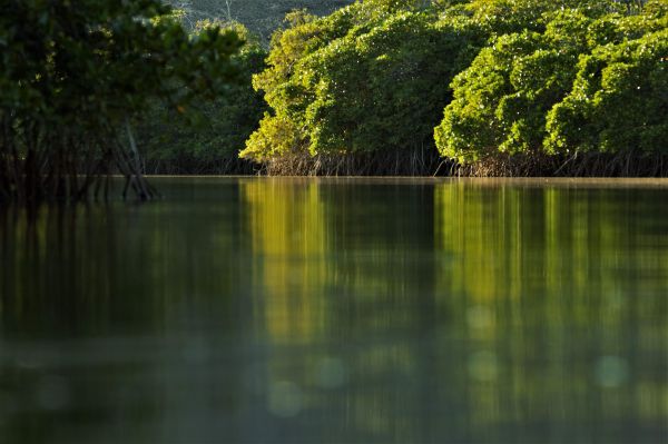 foto:Jorge Romero Otero - lo hecho en México