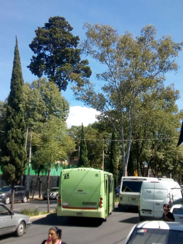 foto:Luis Adrián Solis Palomares - lo hecho en México